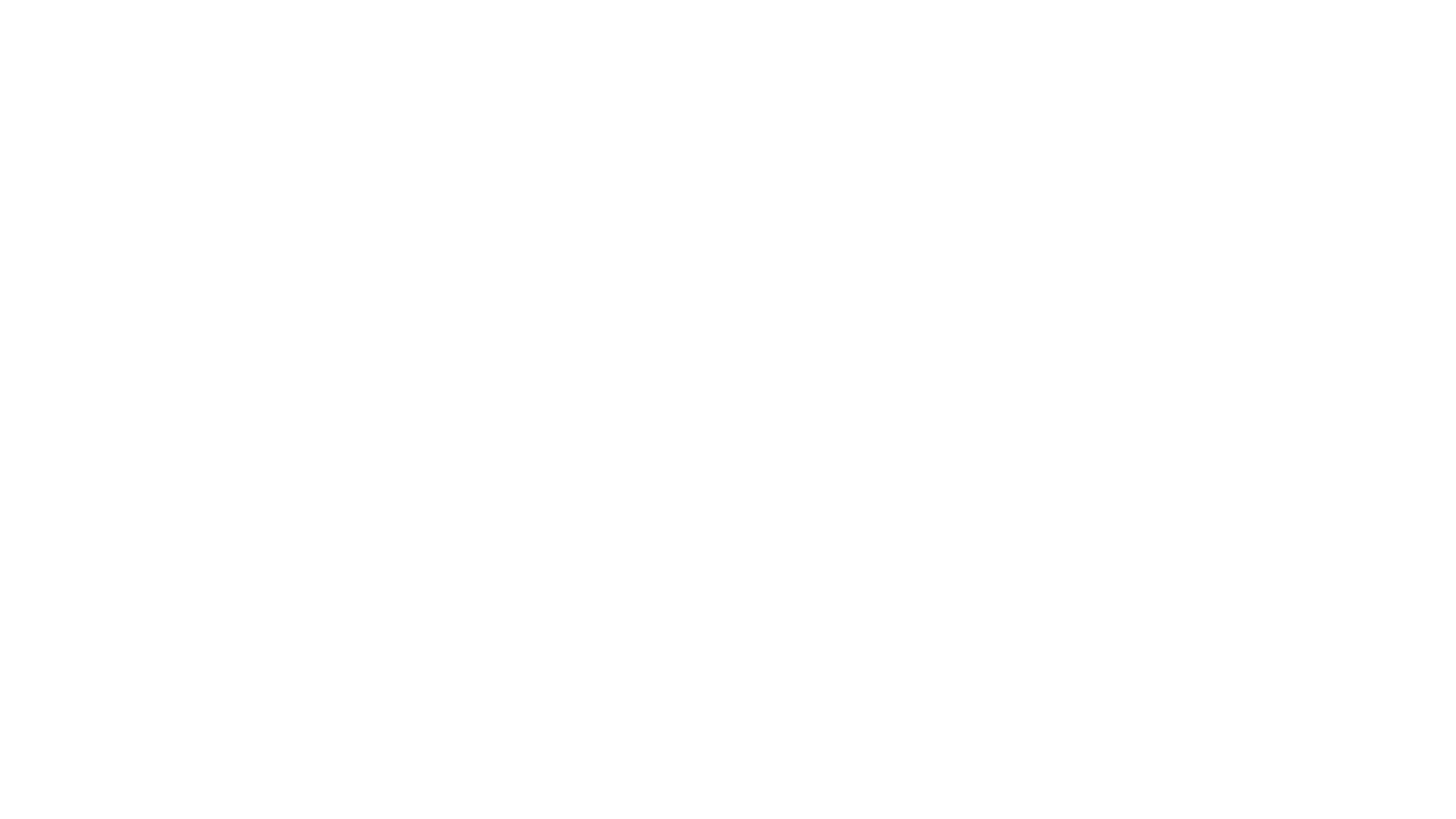 TH Services & Solutions Logo